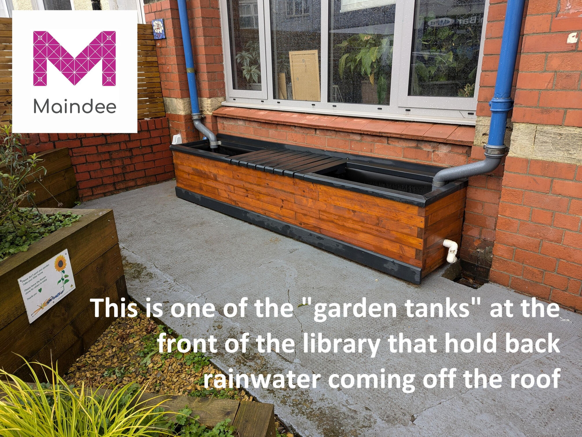 Pockets of Green in Maindee